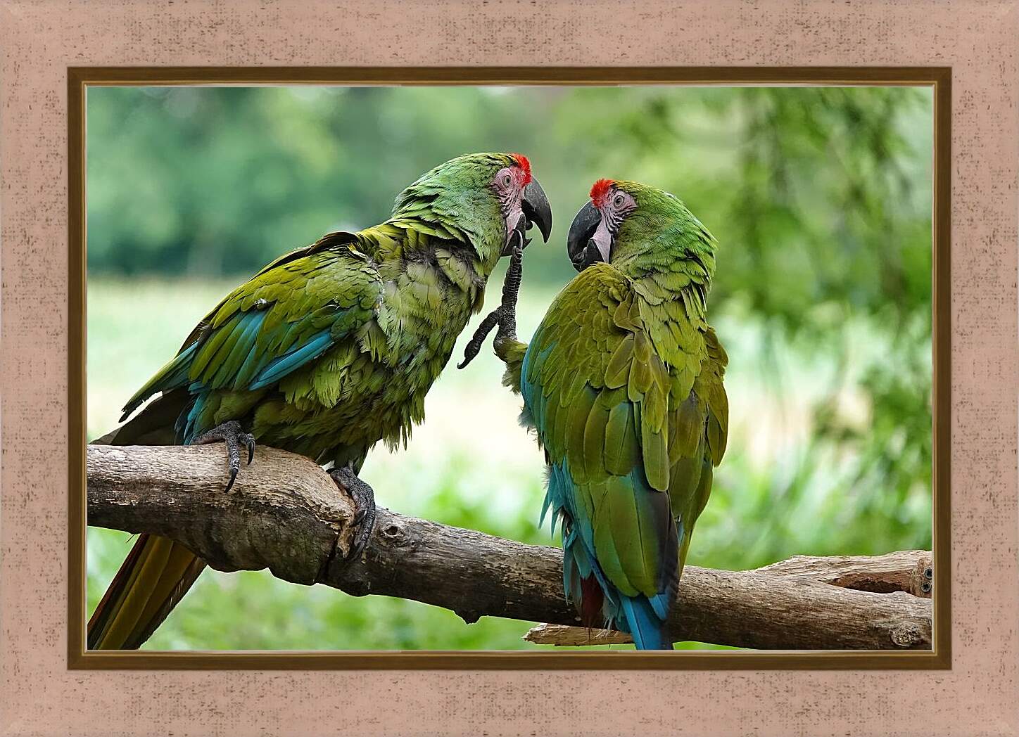 Картина в раме - Два зелёных попугайчика