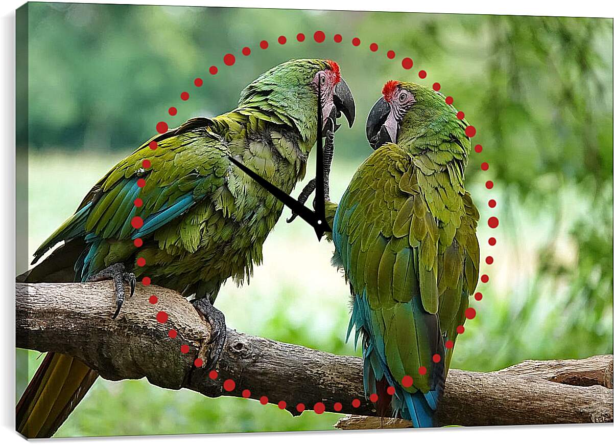 Часы картина - Два зелёных попугайчика
