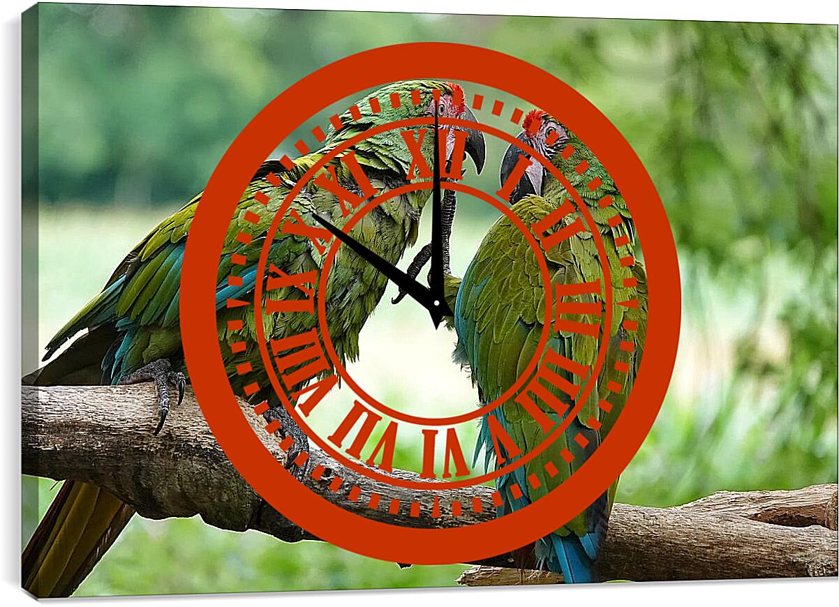 Часы картина - Два зелёных попугайчика