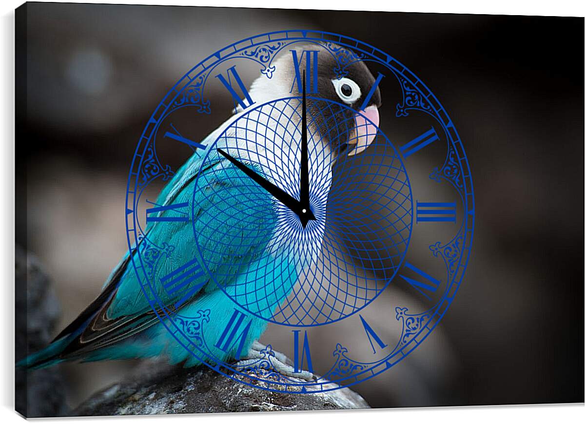 Часы картина - Попугай сидит на камне