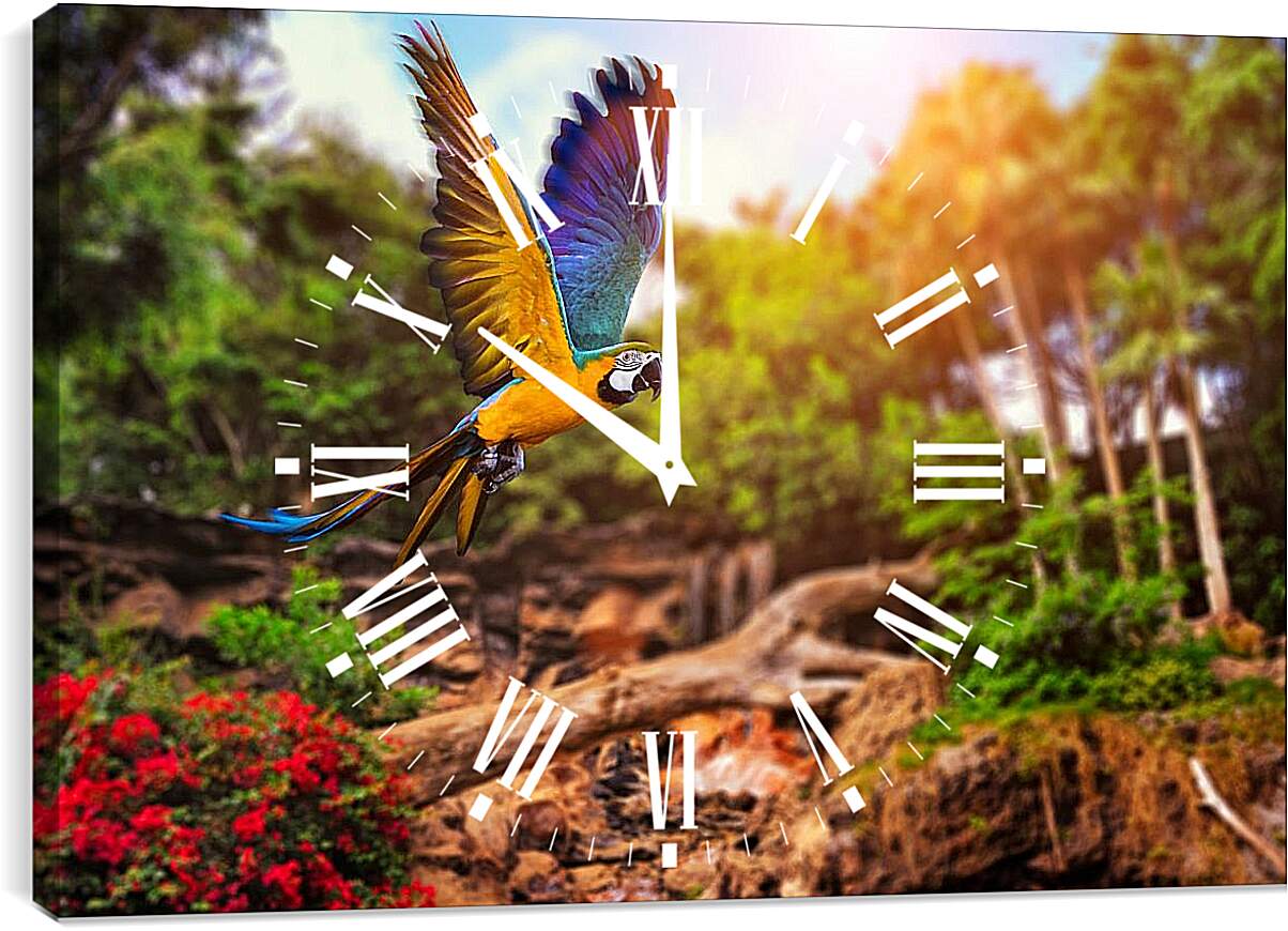 Часы картина - Попугай в полёте