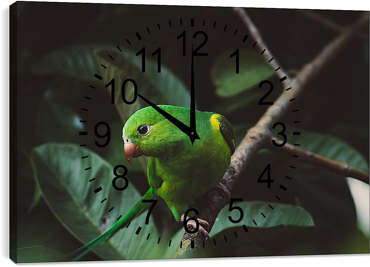 Часы картина - Зелёный попугайчик на ветке