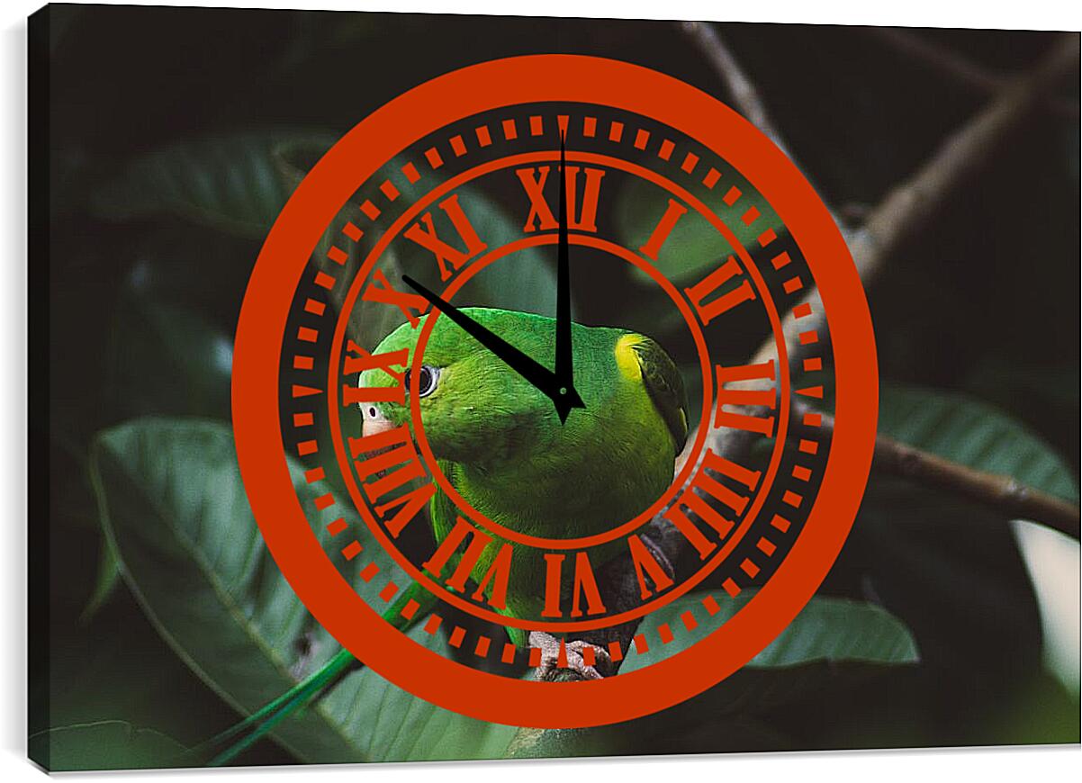 Часы картина - Зелёный попугайчик на ветке