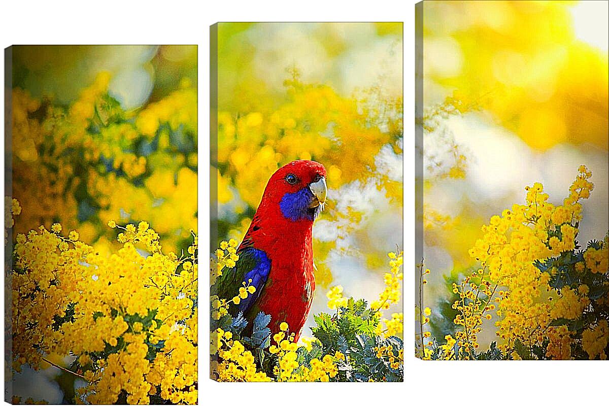 Модульная картина - Попугай в цветочках