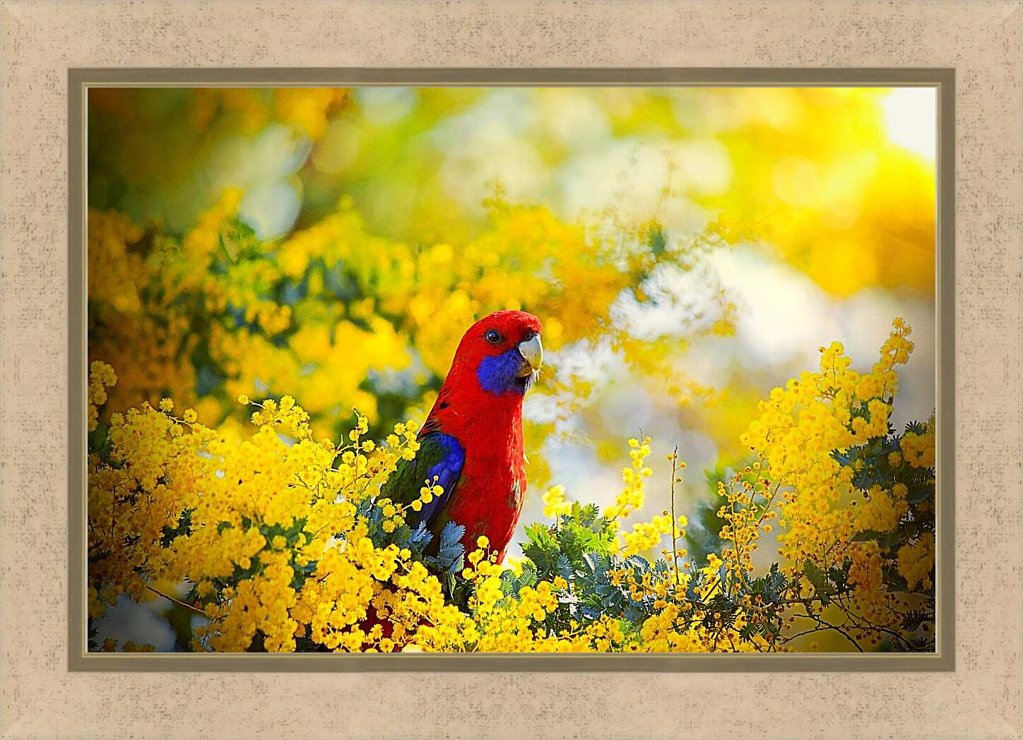 Картина в раме - Попугай в цветочках
