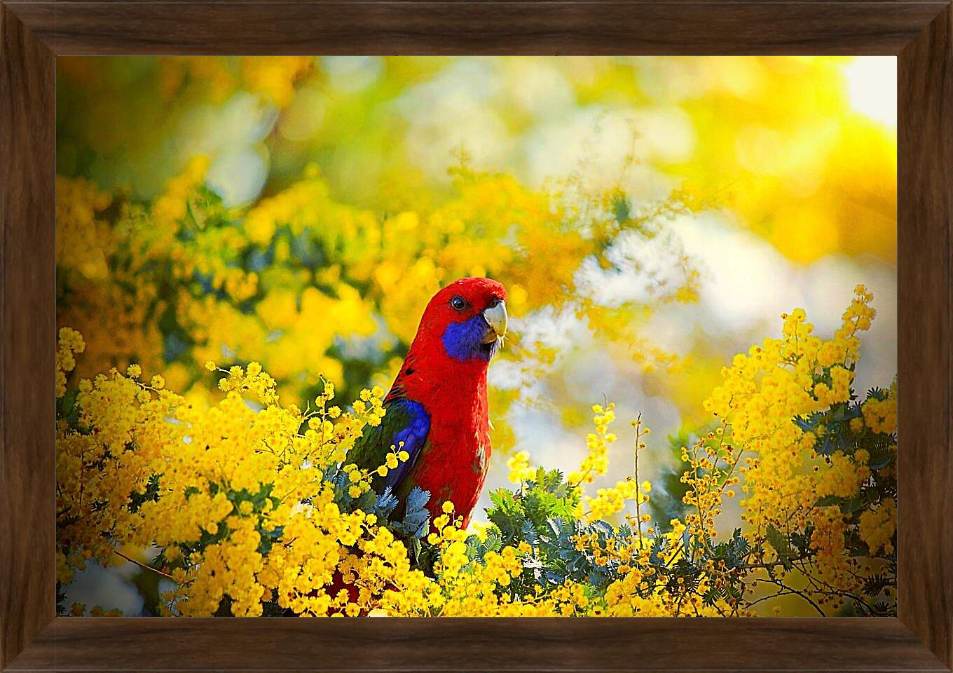Картина в раме - Попугай в цветочках
