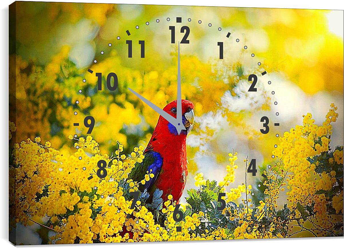 Часы картина - Попугай в цветочках