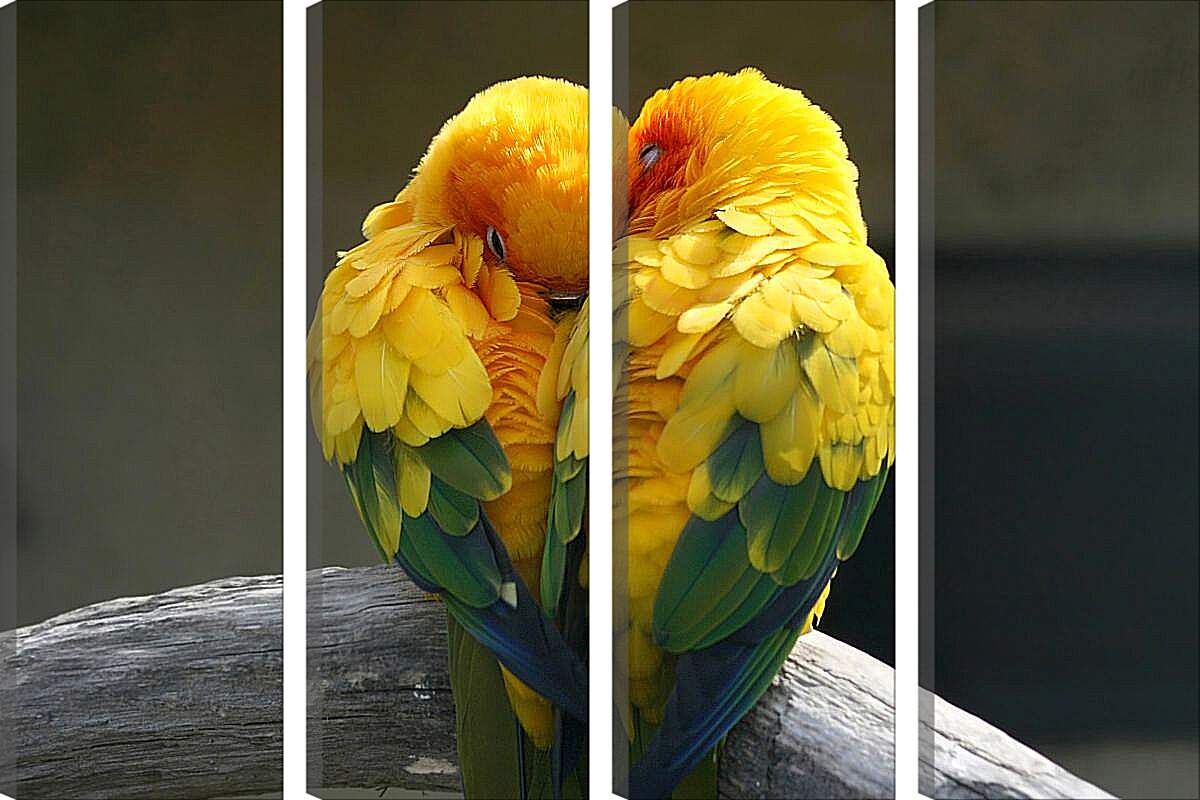 Модульная картина - Пара жёлтых попугаев