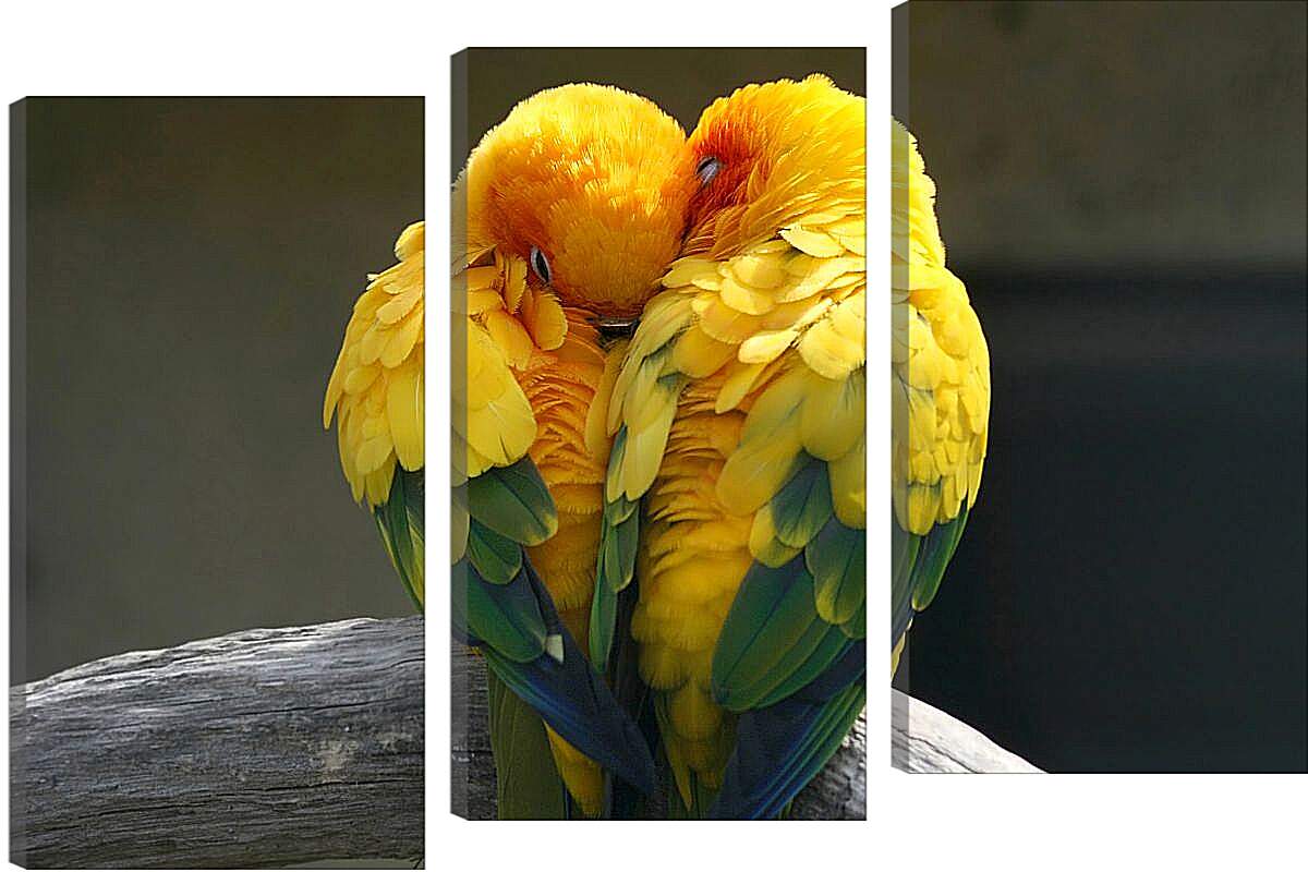 Модульная картина - Пара жёлтых попугаев