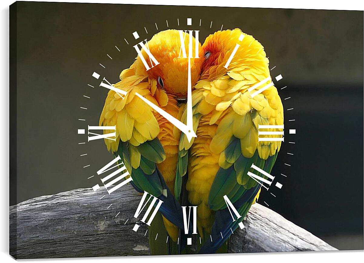 Часы картина - Пара жёлтых попугаев