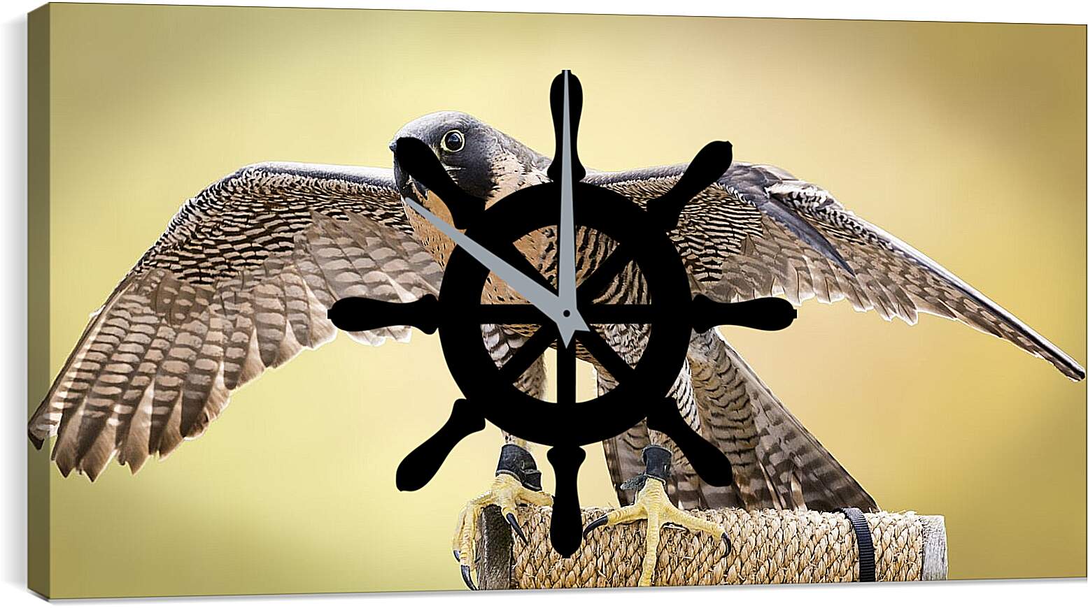 Часы картина - Сокол с расправленными крыльями