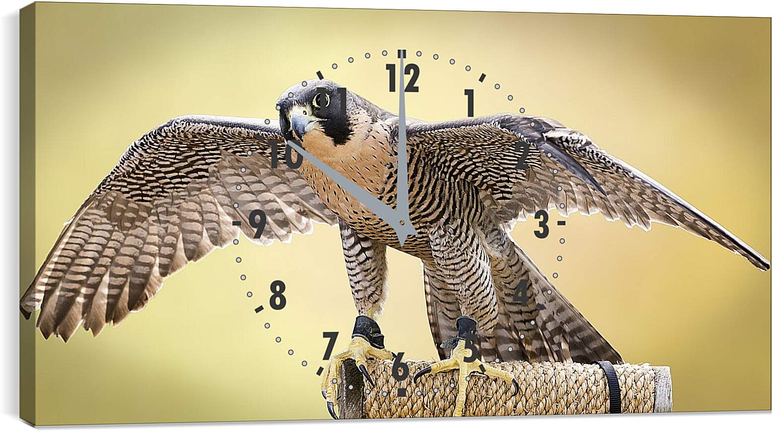 Часы картина - Сокол с расправленными крыльями