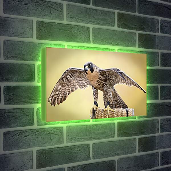 Лайтбокс световая панель - Сокол с расправленными крыльями