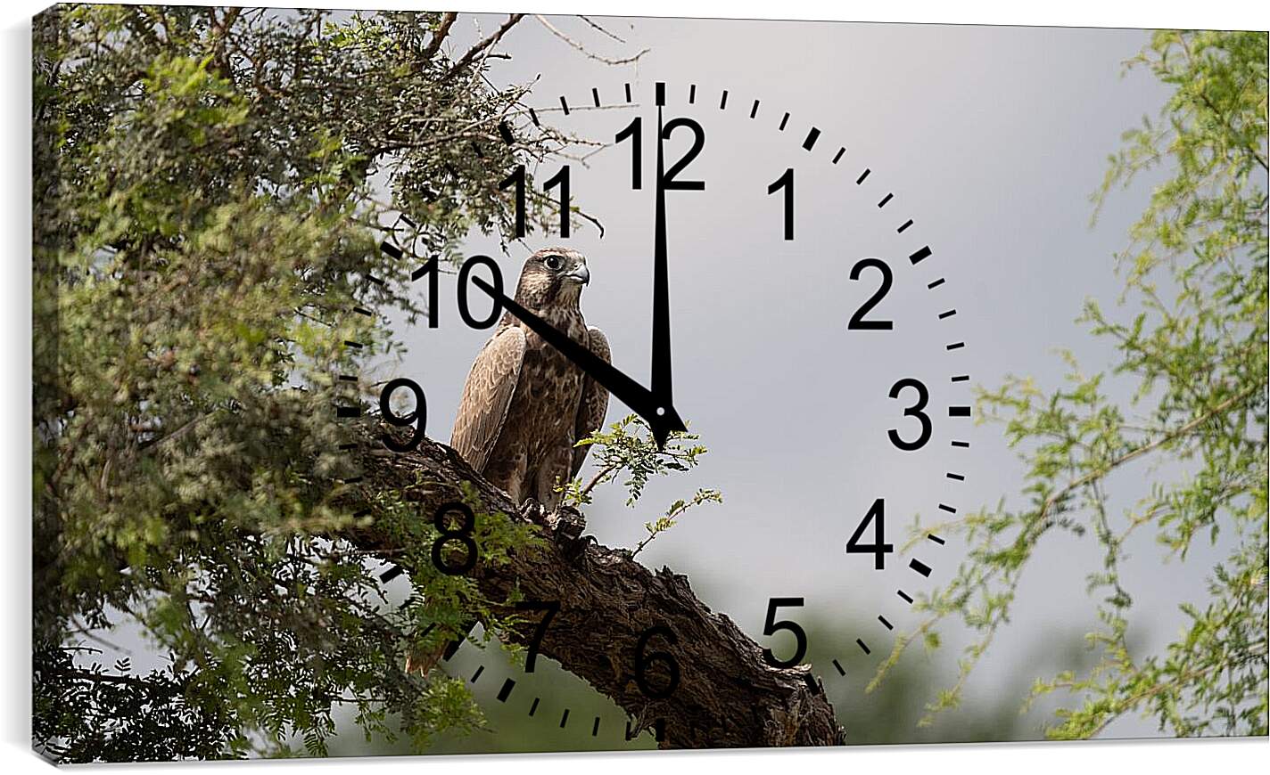 Часы картина - Сокол на дереве