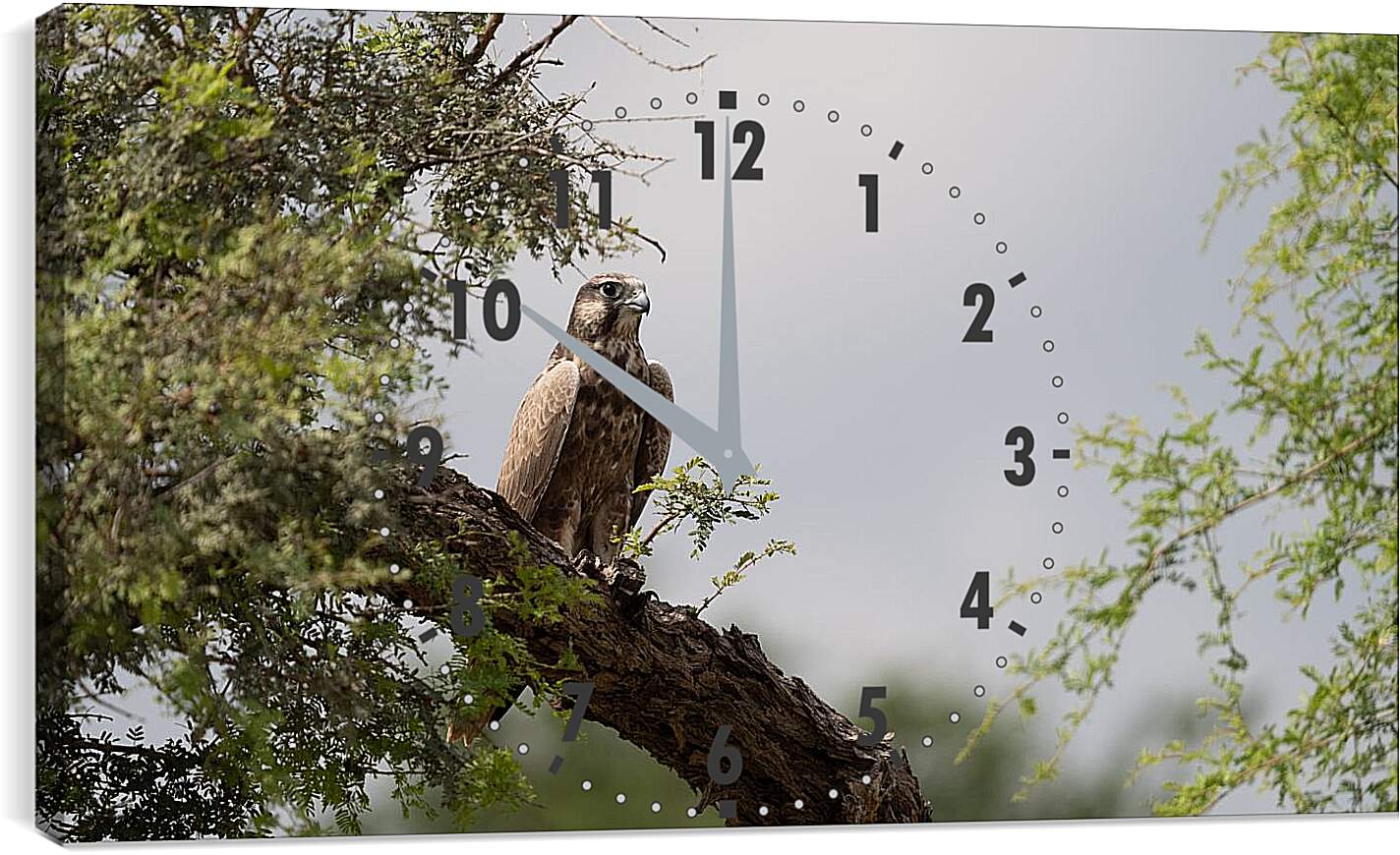 Часы картина - Сокол на дереве