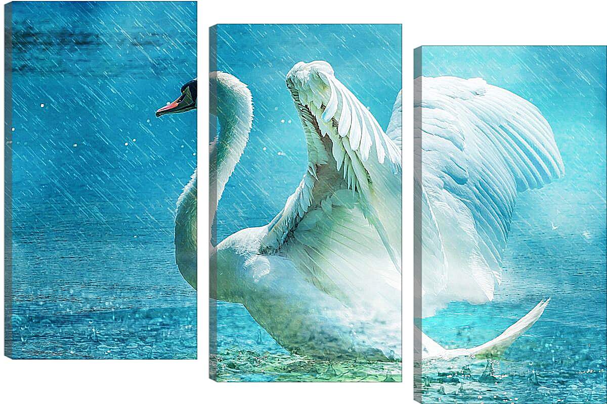 Модульная картина - Лебедь под дождём