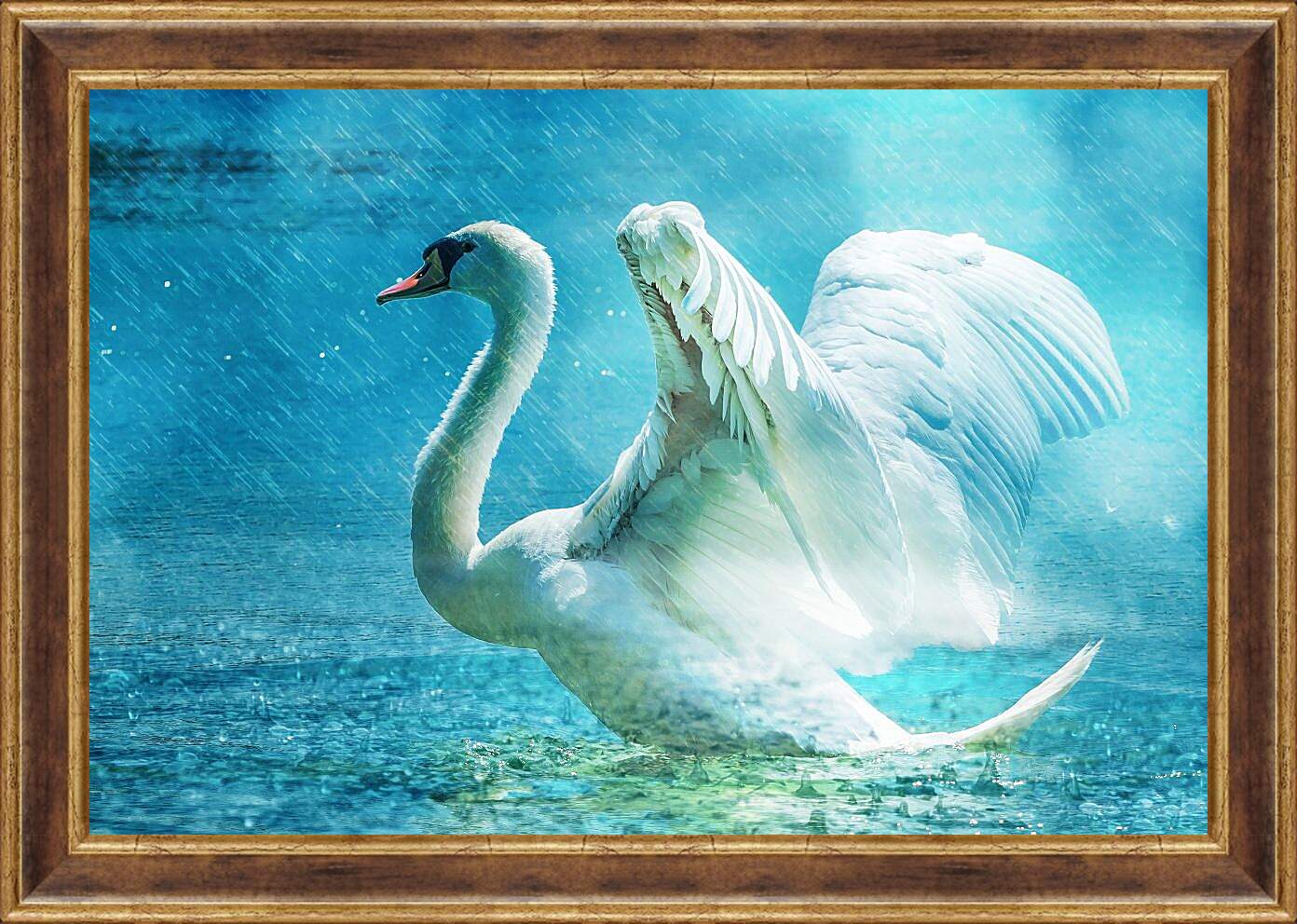Картина в раме - Лебедь под дождём