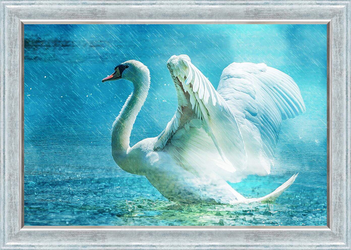 Картина в раме - Лебедь под дождём