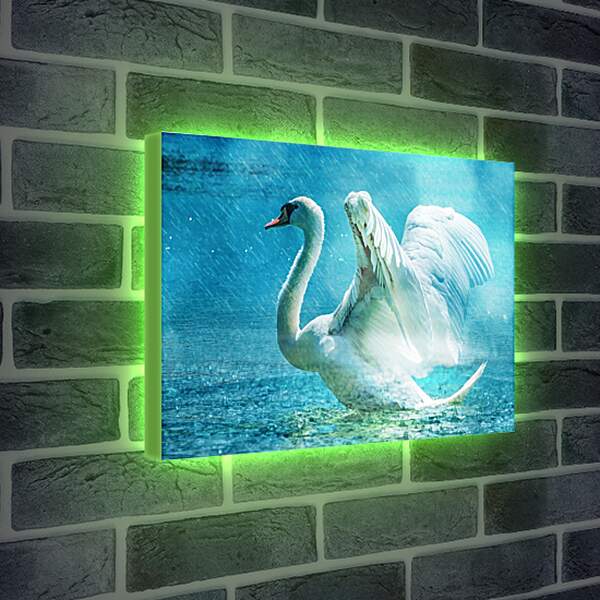 Лайтбокс световая панель - Лебедь под дождём