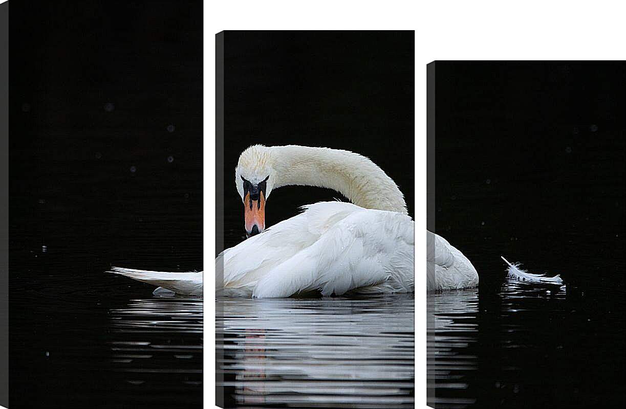 Модульная картина - Лебедь и перо на воде