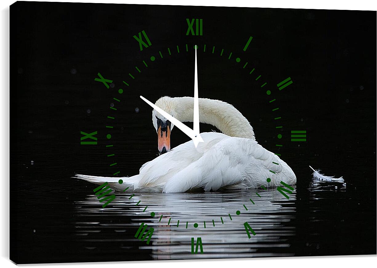 Часы картина - Лебедь и перо на воде
