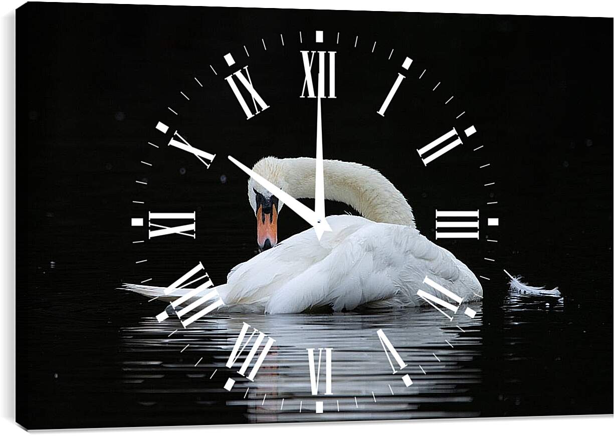 Часы картина - Лебедь и перо на воде