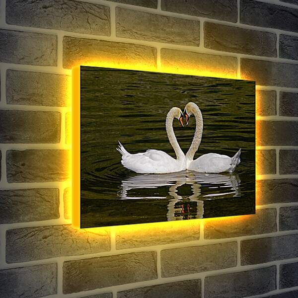 Лайтбокс световая панель - Парочка лебедей