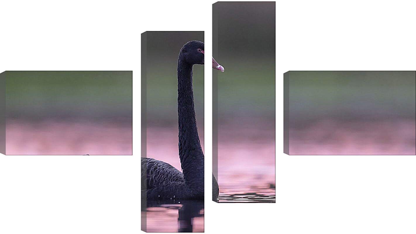 Модульная картина - Чёрный лебедь