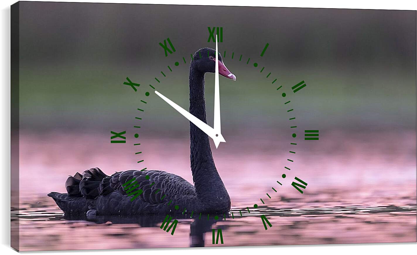 Часы картина - Чёрный лебедь