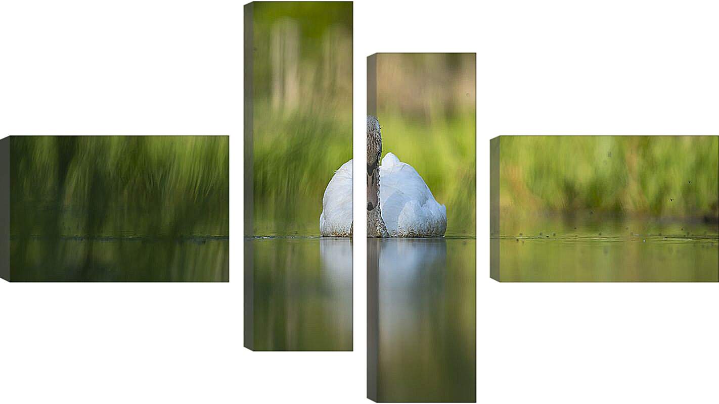 Модульная картина - Лебедь на размытом фоне