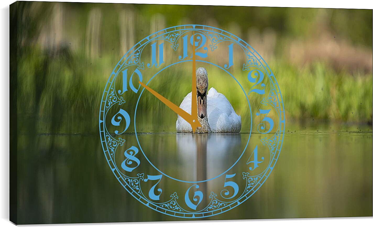 Часы картина - Лебедь на размытом фоне