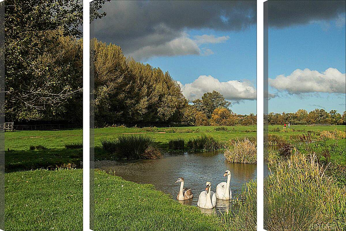 Модульная картина - Лебеди на озере