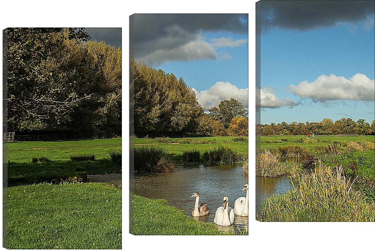 Модульная картина - Лебеди на озере