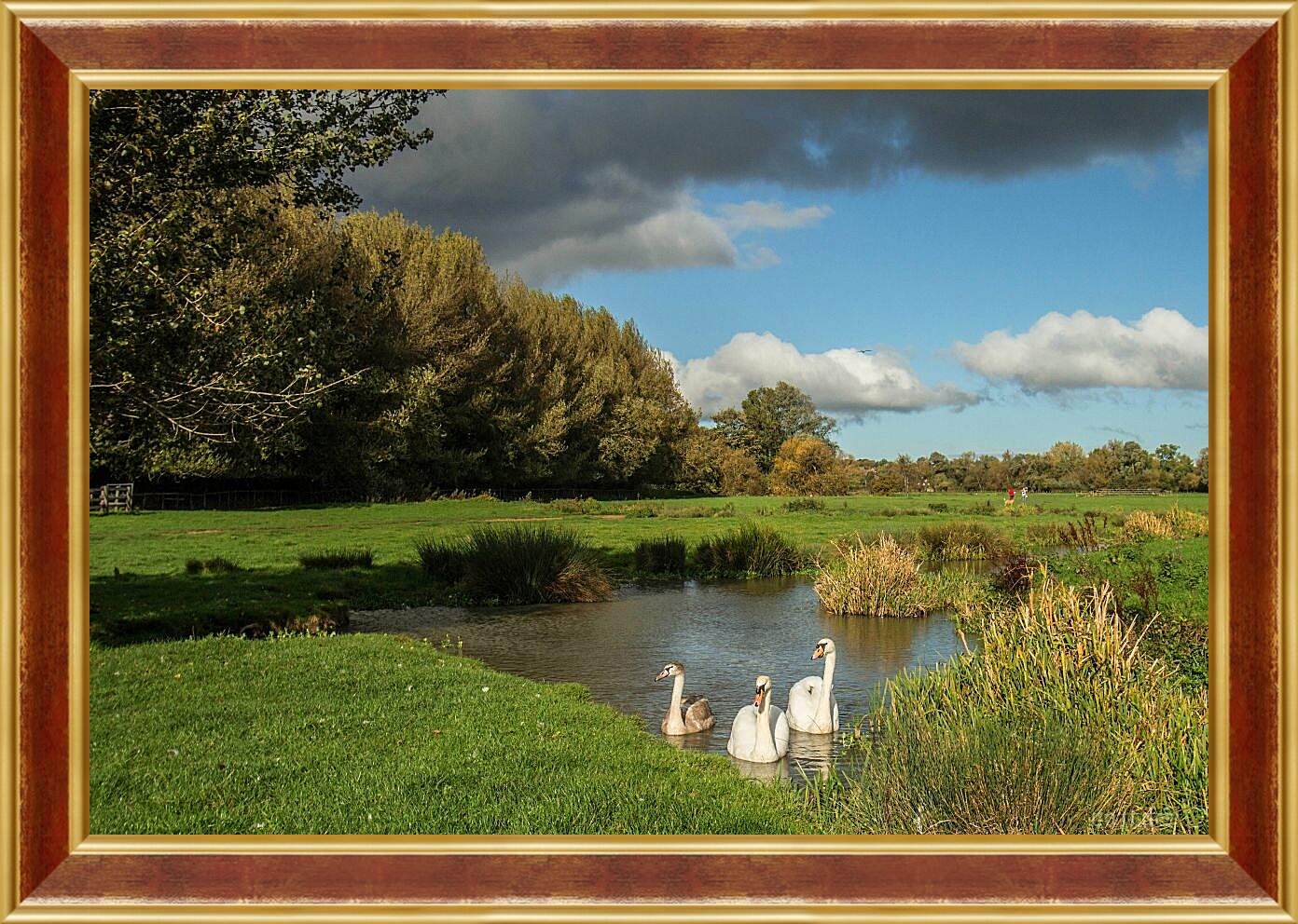 Картина в раме - Лебеди на озере