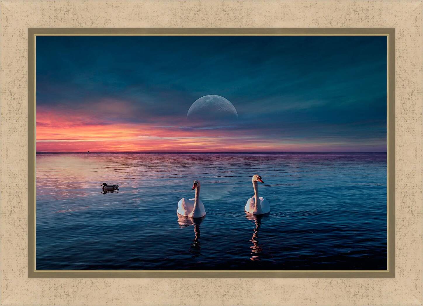 Картина в раме - Два лебедя и уточка
