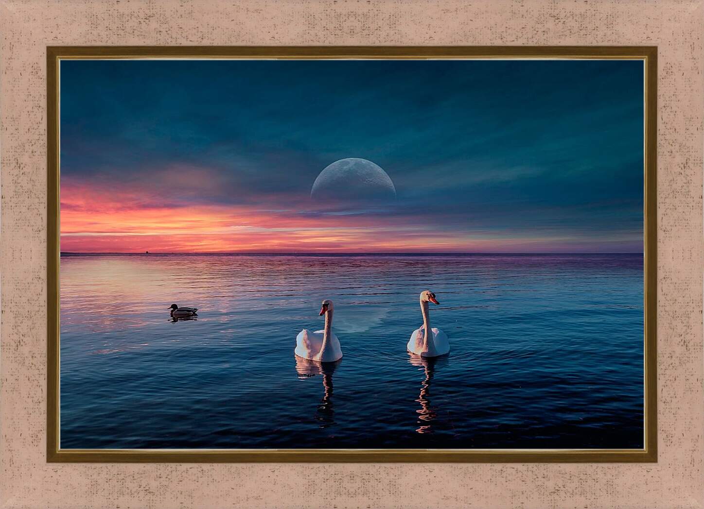 Картина в раме - Два лебедя и уточка