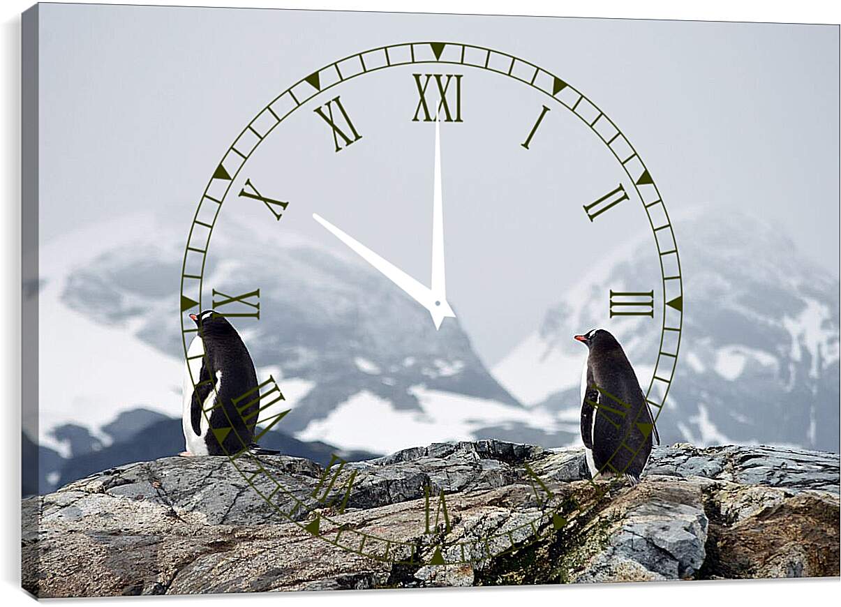Часы картина - Пингвины на фоне гор