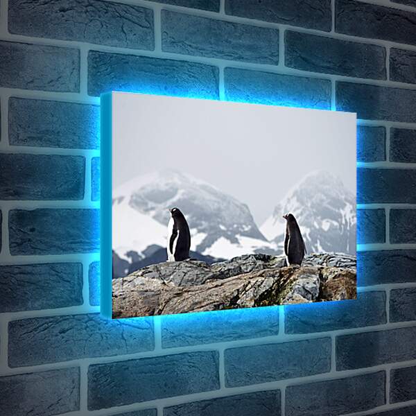 Лайтбокс световая панель - Пингвины на фоне гор