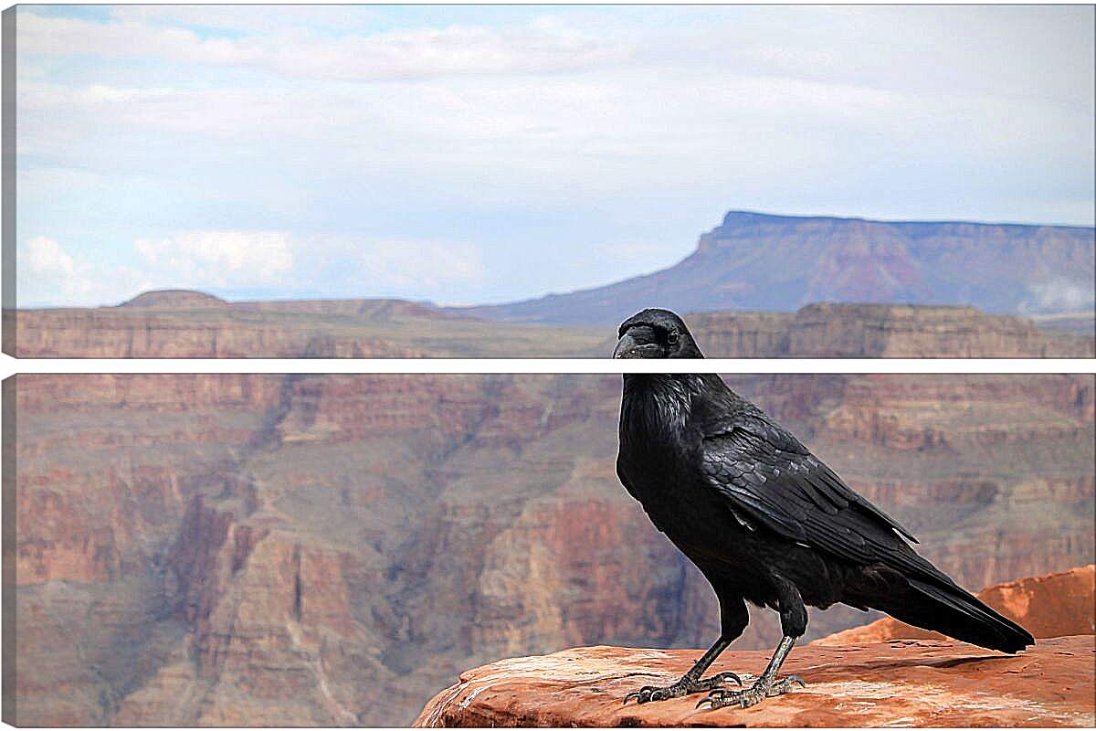 Модульная картина - Чёрный ворон сидит на скале