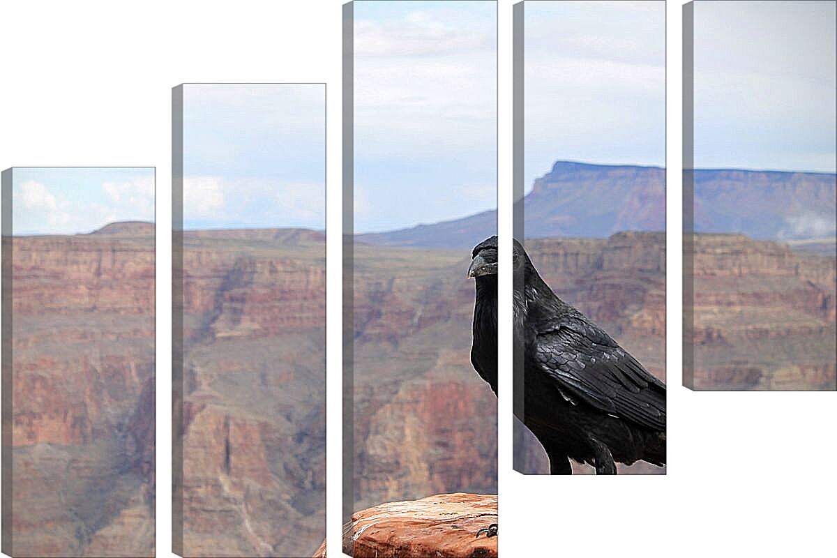 Модульная картина - Чёрный ворон сидит на скале