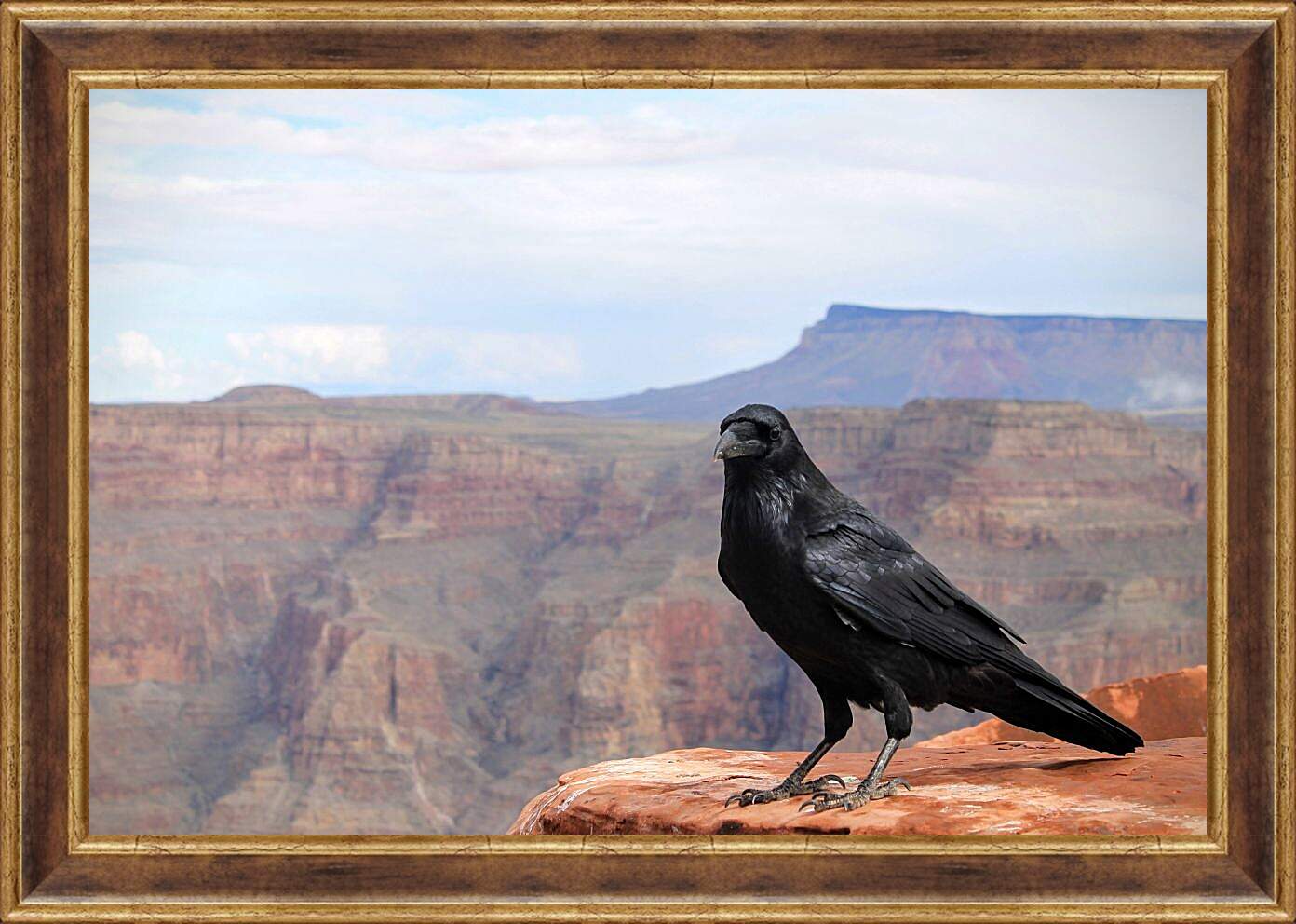 Картина в раме - Чёрный ворон сидит на скале