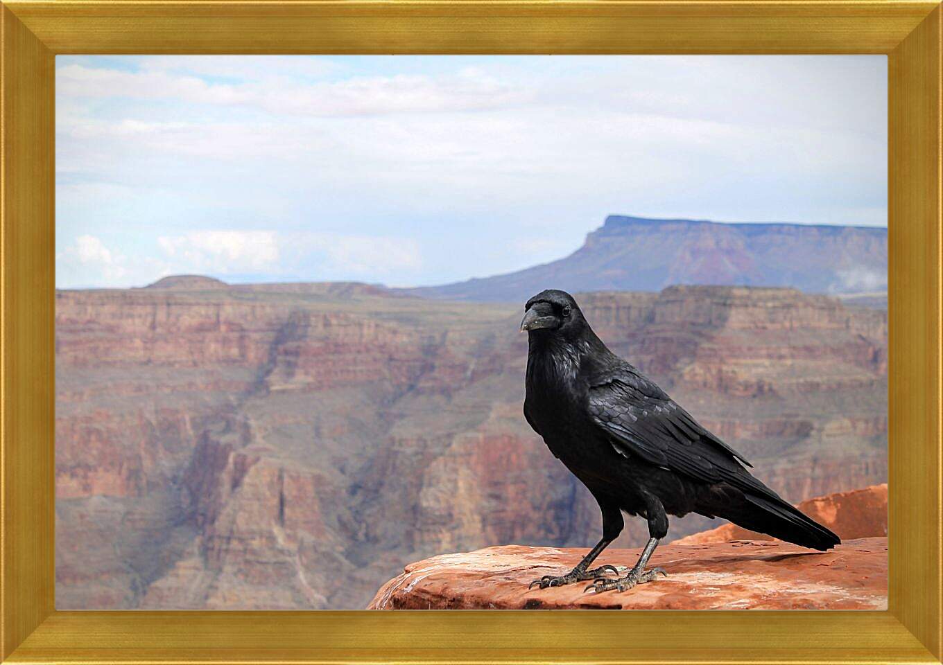 Картина в раме - Чёрный ворон сидит на скале