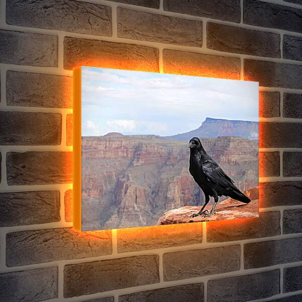 Лайтбокс световая панель - Чёрный ворон сидит на скале