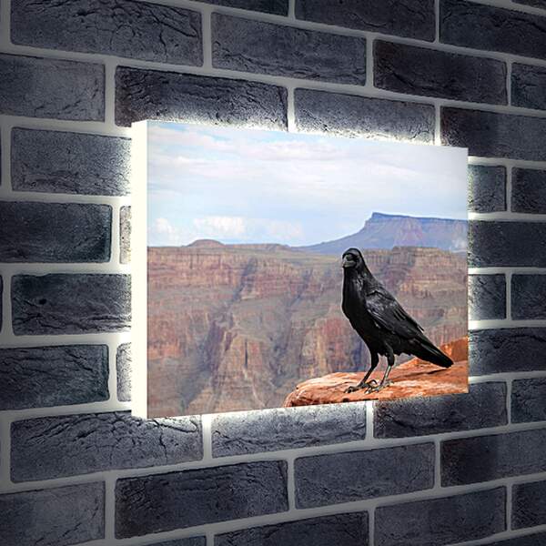Лайтбокс световая панель - Чёрный ворон сидит на скале