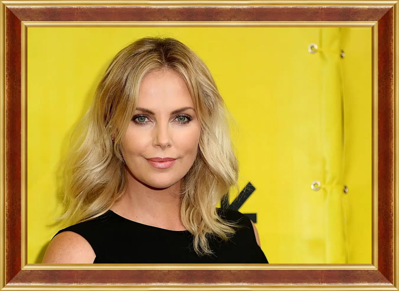 Картина в раме - Шарлиз Терон. Charlize Theron