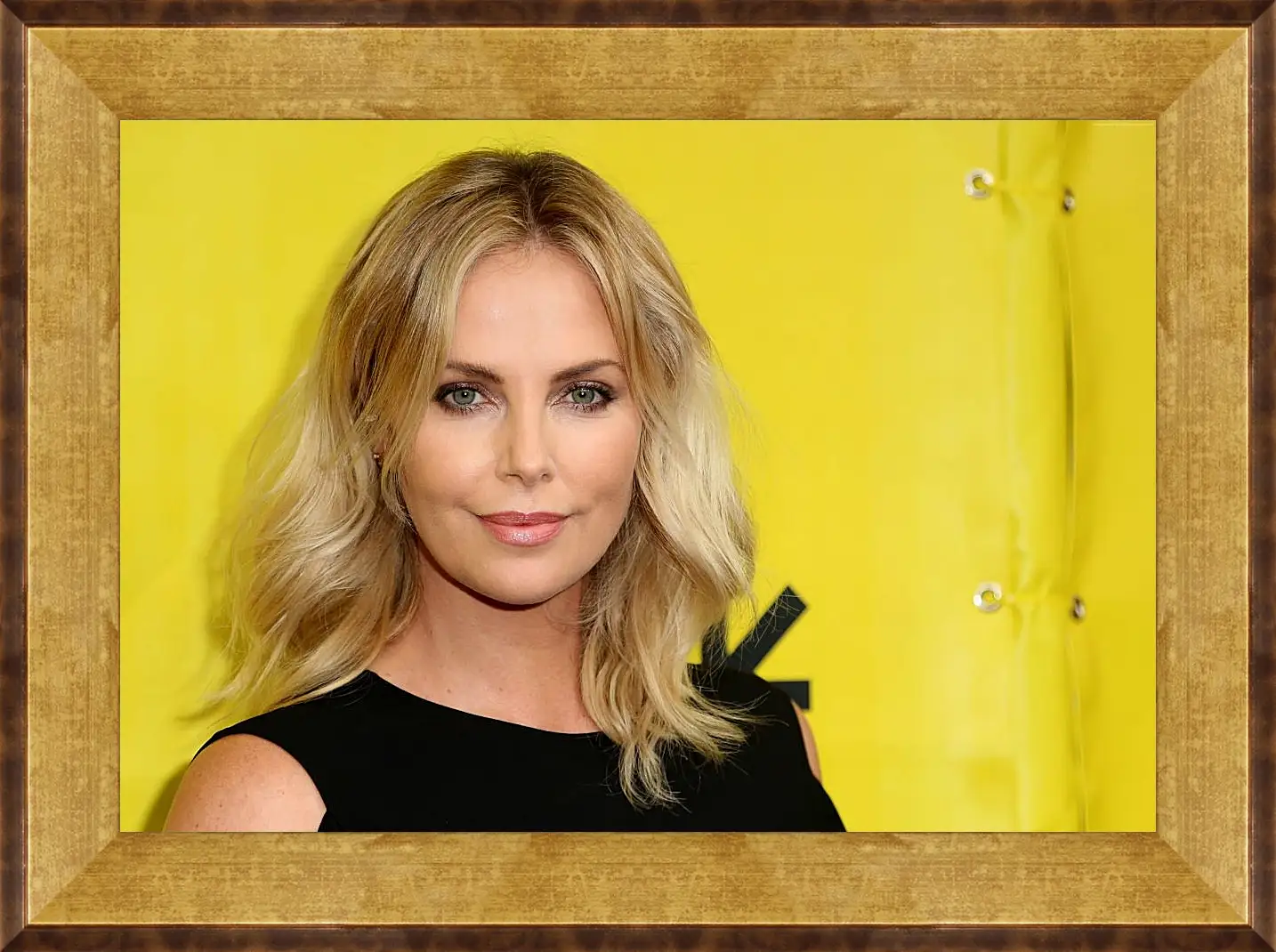 Картина в раме - Шарлиз Терон. Charlize Theron