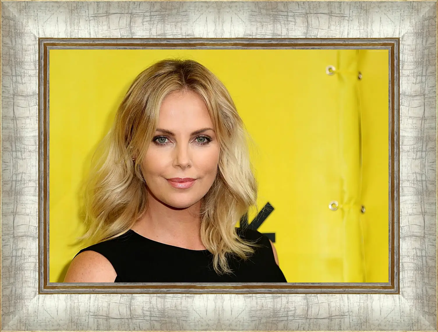 Картина в раме - Шарлиз Терон. Charlize Theron