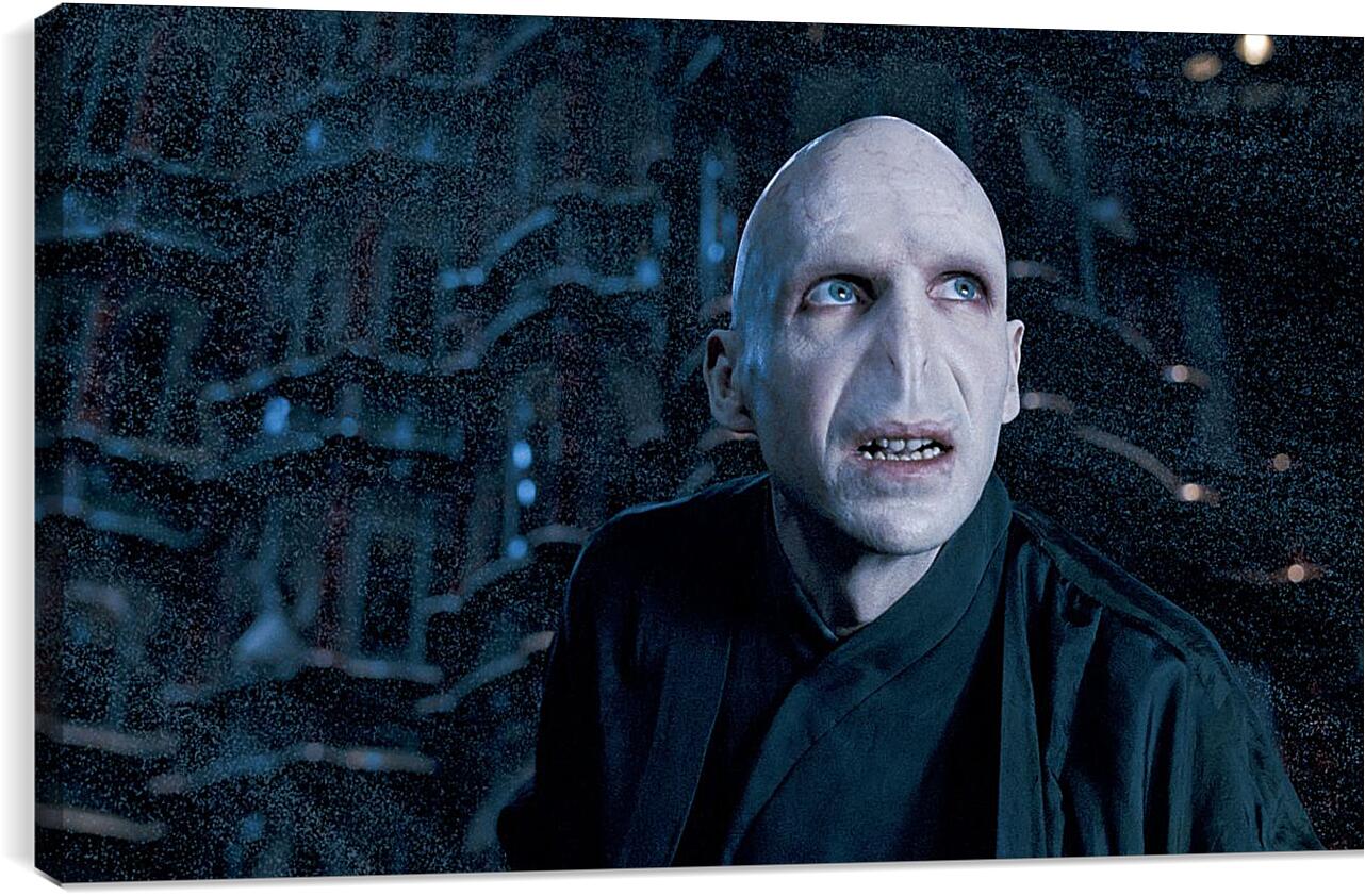 Постер и плакат - Lord-Voldemort