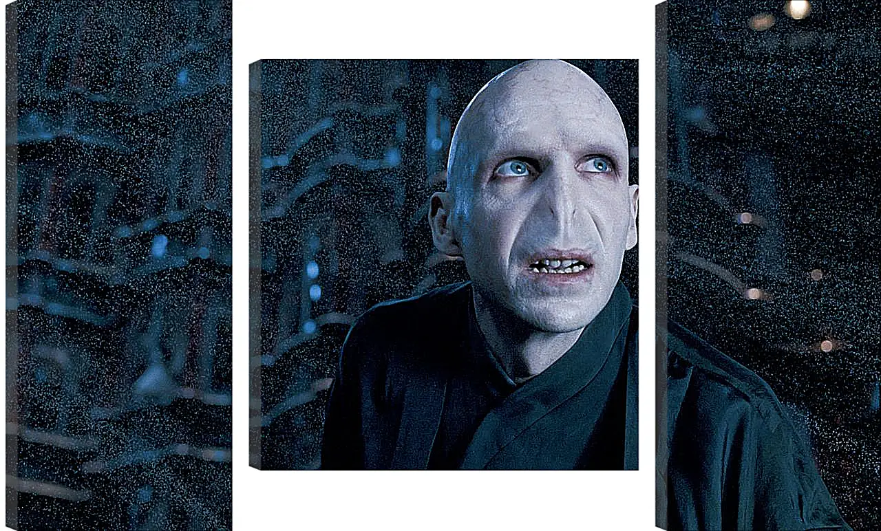 Модульная картина - Lord-Voldemort