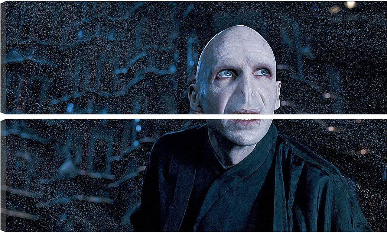 Модульная картина - Lord-Voldemort